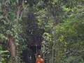 Tn DSC 4294